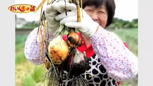 池田さんと無農薬野菜